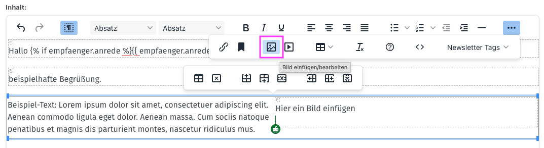 Screenshot aus der Software: Tabelle im Textfeld.