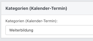 Screenshot aus der Software: Tab "Informationen & Beschreibung" im Bereich "Kategorien".