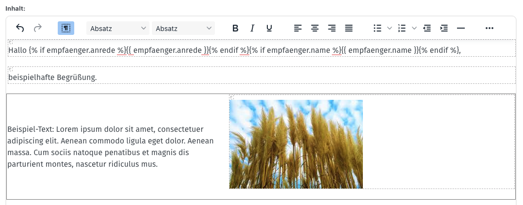 Screenshot aus der Software: beispielhafter Newsletter mit Bild.