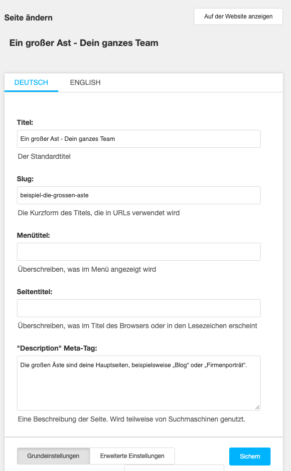 Seiteneinstellungen im django CMS mit Feldern für Titel, Slug, Menütitel, Seitentitel und Meta-Description sowie Optionen für Deutsch und Englisch.